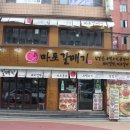 신마포갈매기 이미지