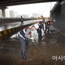 간선-81 이미지