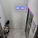 점핑신드롬 이미지