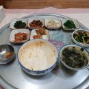 홀통중앙횟집