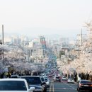 앞산카페거리 이미지