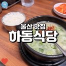 온국밥식구 | 울산 돼지국밥 맛집 그 유명한 하동식당 먹어본 후기