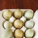 정숙 농장 이미지