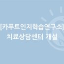인지카 이미지