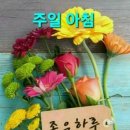 행복이머무는곳 이미지