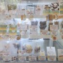 바브로(babro) 이미지