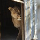 고령목장 이미지