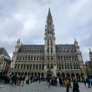 🇧🇪 벨기에 브뤼셀 시내 자유여행, 계획 없이 떠나도 볼거리 가득한 관광! +혼여행 치안 체감 [선데이...