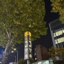 하나이누 | [내방역 근처 맛집] 방배역 점심 추천 서래마을 파스타 이누식당