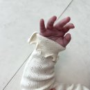 꼬숑ㅣ6개월 아기 사이즈 후기