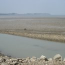 함평해수찜 이미지