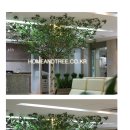 자작나무한의원 이미지