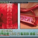 음경사칭꾼들 스토커 bci년들 카카오톡sns딴지가네요 수사대 문의 들어가봅니다 ㅋㅋ dm도 안보내는편이요 이미지