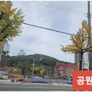 창원부동산공인중개사사무소 이미지