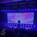 VE에너지 | Billlie World Tour &lt;Our FLOWERLD (Belllie&#39;ve You)&gt; in SEOUL 초대 후기