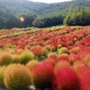 성흥농원 이미지