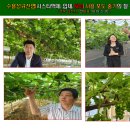 달시스타일 이미지
