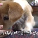 봉희농장 이미지