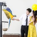 마티네 콘서트 「마실」 - 서커스 마술 여행 이미지