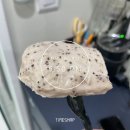 3월의 힘내자 힘내자 오늘도 활기차게 힘내자 :: 두번째