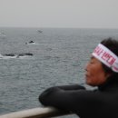 바당어부 이미지