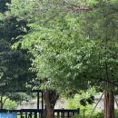 밤골 펜션 이미지