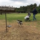 비오스샵 이미지