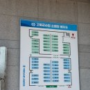 고흥이야기 | 전남 고흥 녹동항 녹동회타운 불꽃축제 여행 가볼만한곳 횟집 추천