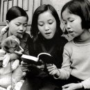 복슬강아지 이미지