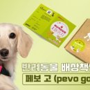 케어스 스포츠동아