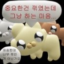 케쌤영어