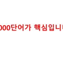 동화로 배우는 COOK COOK | 7개 국어를 마스터한 능력자가 1000단어를 미친 듯이 강조하는 이유
