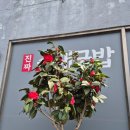 가마솥순대국밥당진시곡점 이미지