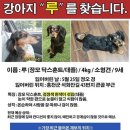 루 이미지