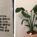 이지요더파크 이미지