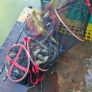 송말낚시터 이미지