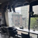 금호동 미용실 남자머리 추천｜신금호역 토드위드긱 깔끔한 남자 커트 후기
