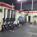 크로스핏 정글 이미지