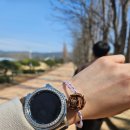 UR(경주시)-[동해안로]-하-13 | 2024. 3. 13. ~ 3. 15. 경주-포항 여행기