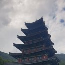 무안영산 이미지