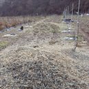 꿈의농장 이미지