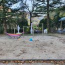 상평초등학교현서분교장 이미지