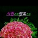 즐거운 이미지