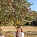 일출랜드식물원 이미지