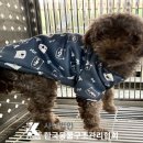 삼육사로44 티스토리