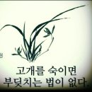 멋진 이미지