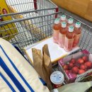 자발적 고립 이미지