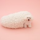 LIKE FRISE 이미지