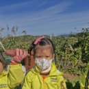 다연이네 이미지