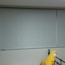 신대부적지구 이미지